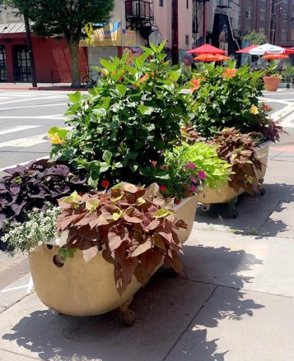 Florist «Hudson Florist», reviews and photos, 741 Bergen Ave, Jersey City, NJ 07306, USA