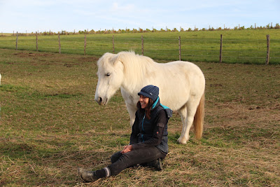 CHEVAL' ENVOL à Vindry-sur-Turdine