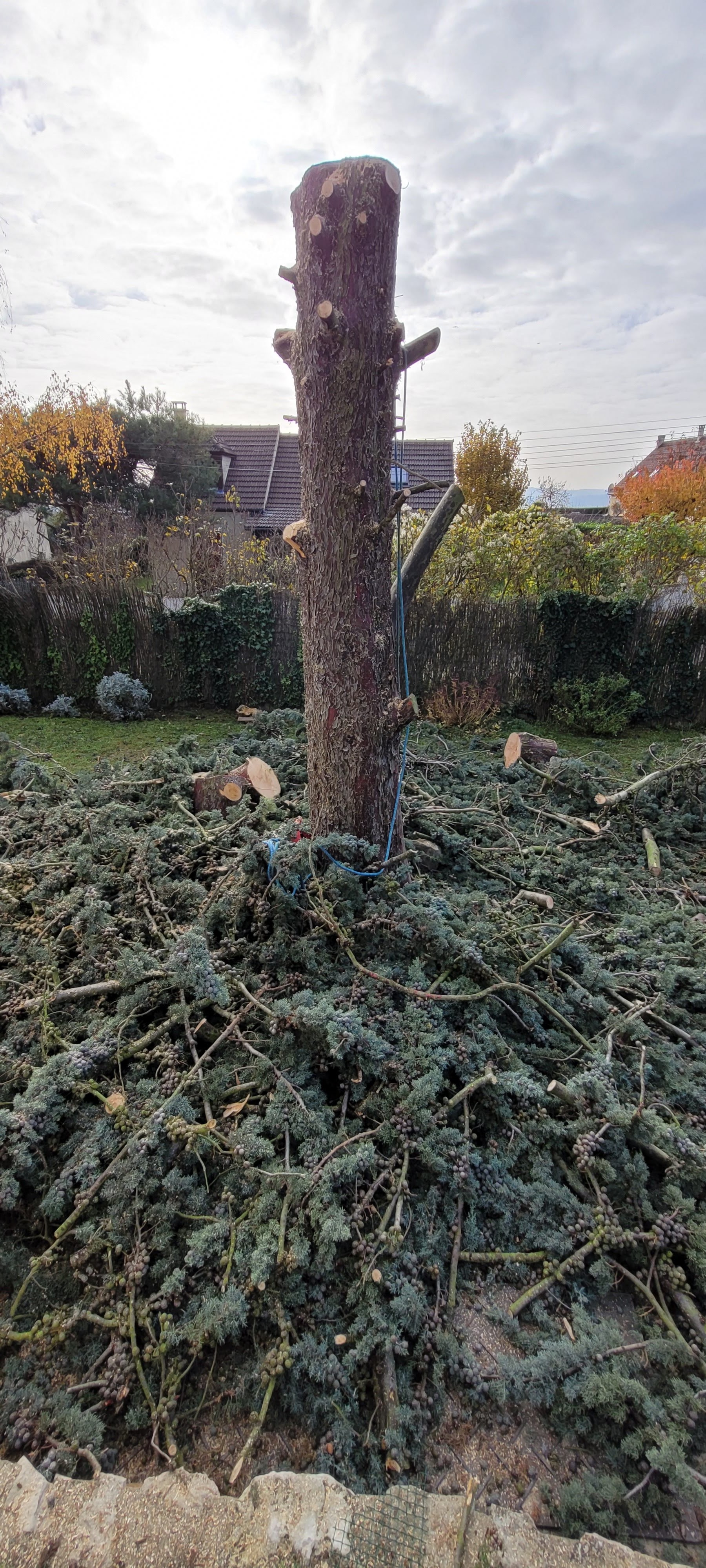 Photo n° 4 de l'avis de nigac78. fait le 04/12/2021 à 20:06
