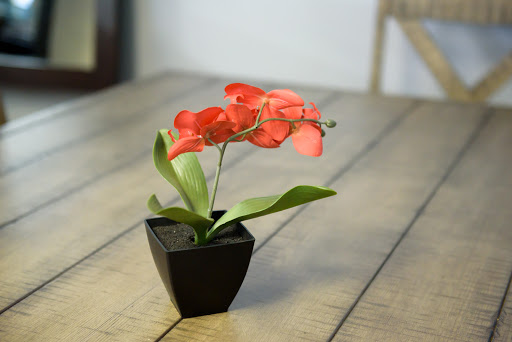 Futon Store «Factory Bedding & Furniture Outlet», reviews and photos, 735 Barnum Avenue Cutoff, Stratford, CT 06614, USA