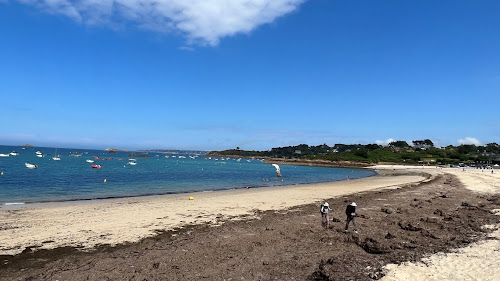 Bateau château du Taureau à Carantec