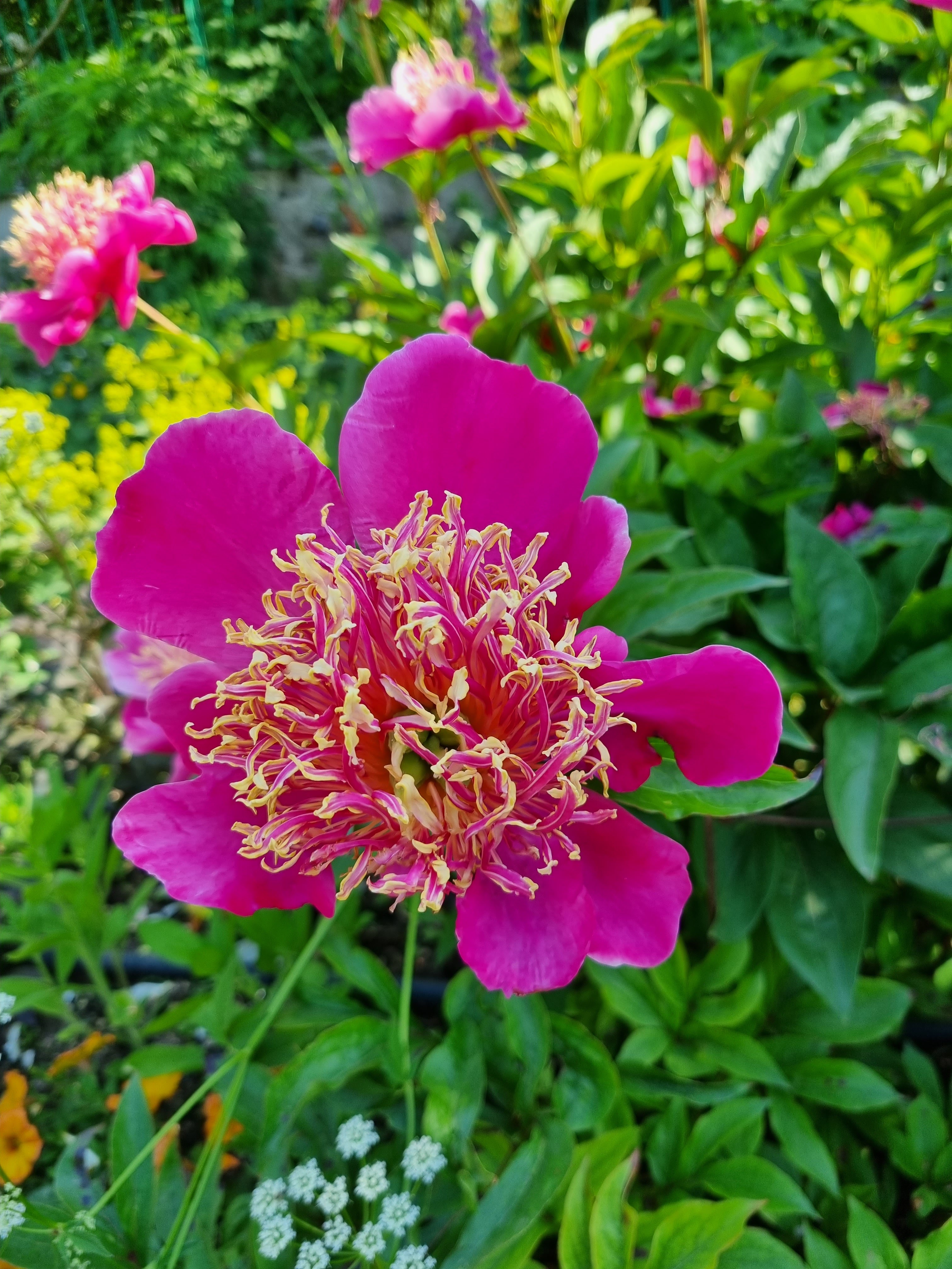 Photo n° 3 de l'avis de Sabine.o fait le 13/06/2023 à 19:16