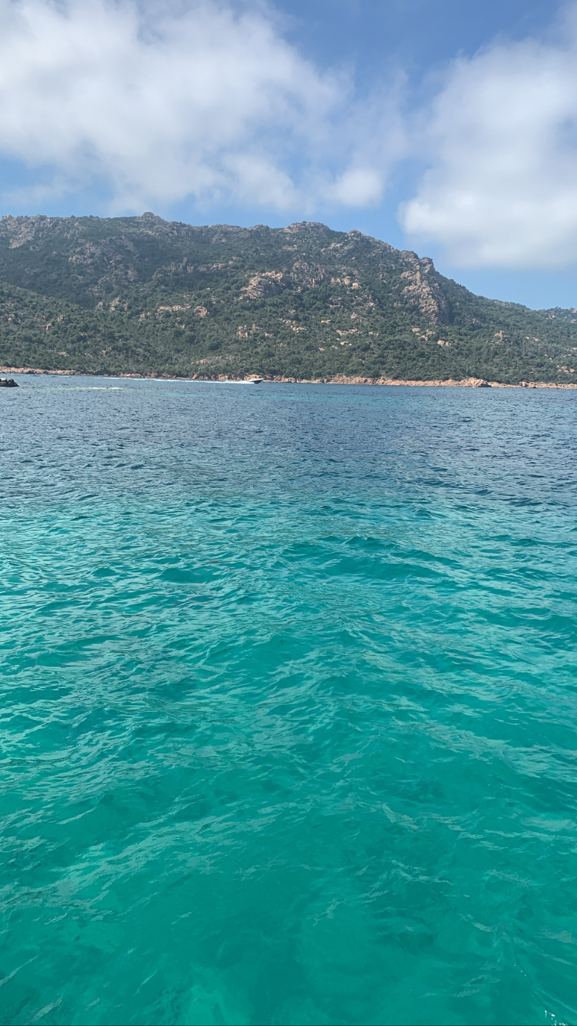 Photo n° 2 de l'avis de Manon.e fait le 20/07/2023 à 14:56