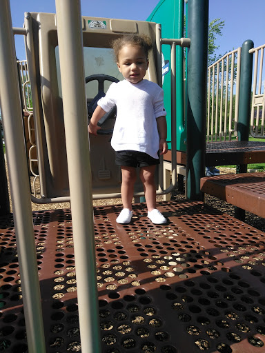 Park «Dr. Martin Luther King Jr. Park», reviews and photos, 42 N Farnsworth Ave, Aurora, IL 60505, USA