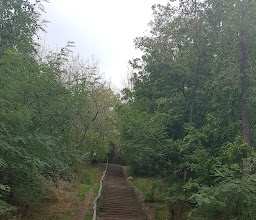 Wuhletal- Wanderweg photo