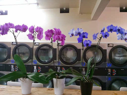 Laundromat «The Grove Laundry», reviews and photos, 1128 Forest Ave, Pacific Grove, CA 93950, USA