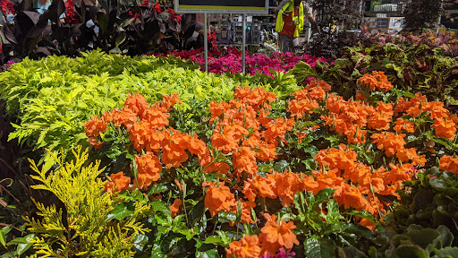 Home Improvement Store «The Home Depot», reviews and photos, 325 120th Ave NE, Bellevue, WA 98005, USA