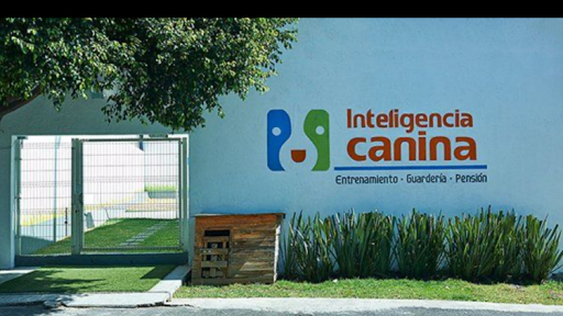 Inteligencia Canina