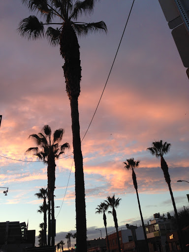 Tobacco Shop «Green House Smoke Shop», reviews and photos, 1428 Abbot Kinney Blvd, Venice, CA 90291, USA