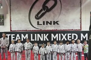 Team Link Ludlow MA - Brazilian Jiu Jitsu image