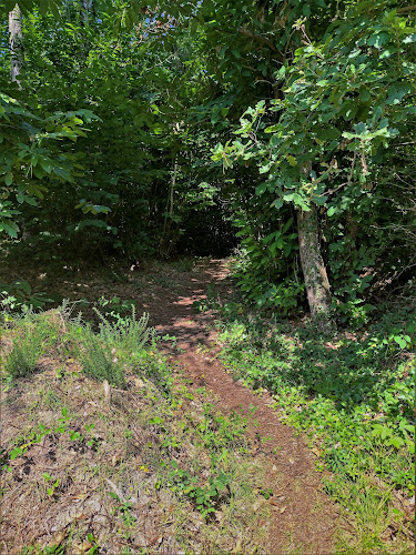 Polissoir à Beauregard, Caillou de Saint-Martin à Orches