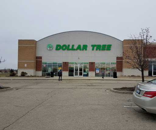 Dollar Store «Dollar Tree», reviews and photos, 16101 S Farrell Rd, Lockport, IL 60441, USA