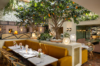 Atmosphère du Restaurant de cuisine européenne moderne Arboré à Paris - n°1