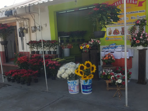 FLORERIA AZUCENA – San Miguel Zinacantepec
