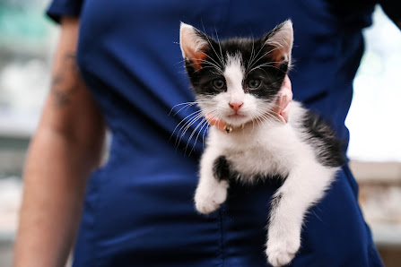 VIN FOUNDATION 413 F St, Davis, CA 95616, United States