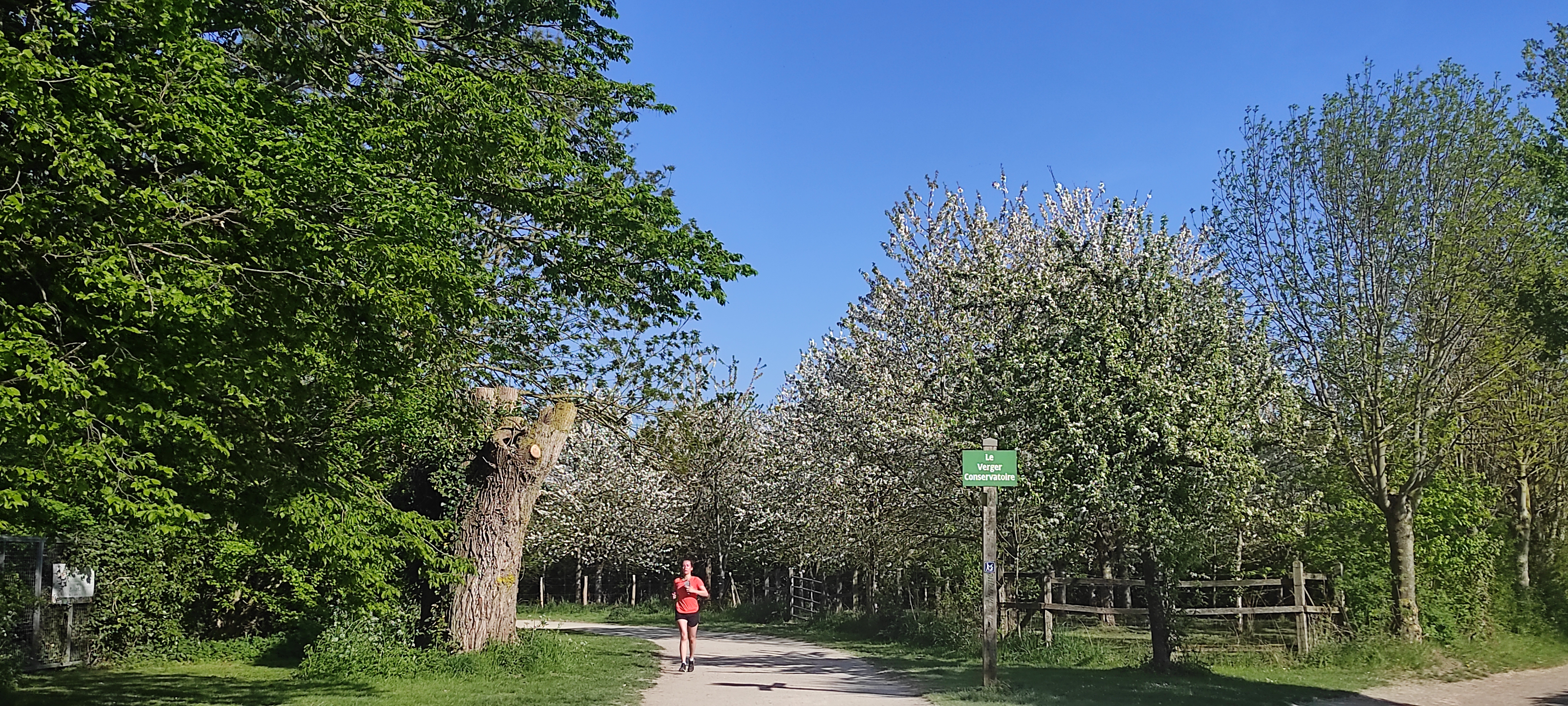Photo n° 14 de l'avis de barbara.i fait le 21/04/2022 à 17:26