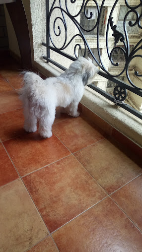 Google Maps image 18