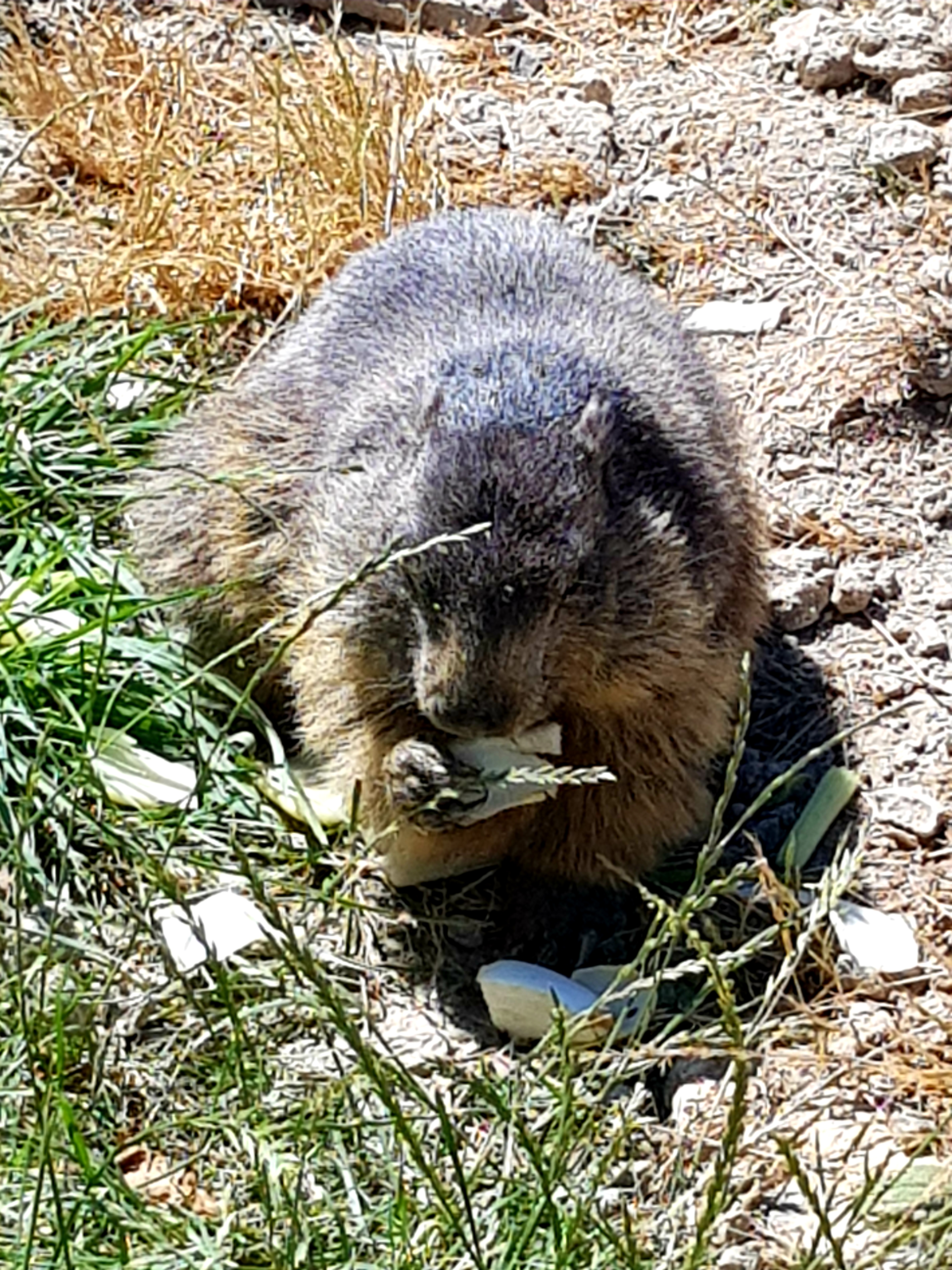 Photo n° 1 de l'avis de Valérie.E fait le 15/07/2021 à 12:17