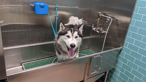 Pet Supply Store «Premier Pet Supply», reviews and photos, 31215 Southfield Rd, Beverly Hills, MI 48025, USA