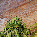 Photo n°4 de l'avis de Thamrin.c fait le 13/07/2023 à 06:17 sur le  WANNAWAI à Frankfurt