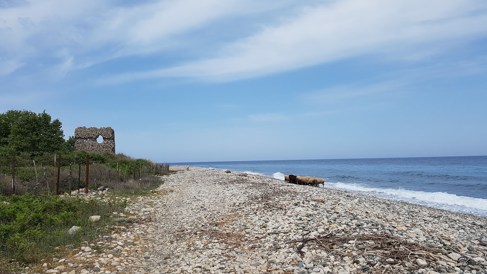 Fotografie cu Fonia beach - locul popular printre cunoscătorii de relaxare