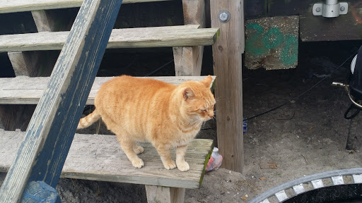 Tourist Attraction «Atlantic City Boardwalk», reviews and photos, 3109 Boardwalk, Atlantic City, NJ 08401, USA