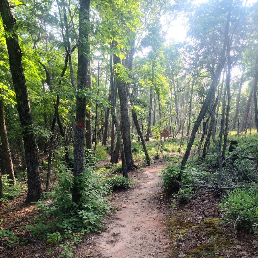 Ivy Bluffs Trail