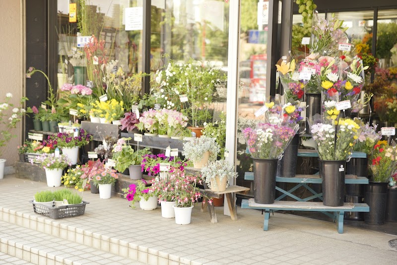 フラワーショップｈａｎａｍａｔｓｕｒｉ 神奈川県厚木市旭町 花屋 花 グルコミ