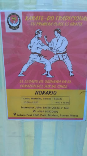 Karate-Do Goju Ryu Shimbukan Chile - Gimnasio
