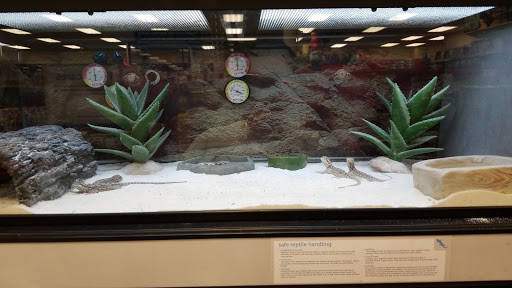 Pet Supply Store «Petco Animal Supplies», reviews and photos, 3284 Jefferson St, Napa, CA 94558, USA