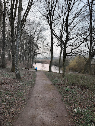 Photos des visiteurs Ferienwohnung Haus Ingrid - Ferienwohnungen im Schlosspark Hohen Niendorf 18230 Bastorf