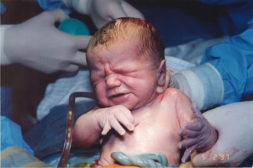 Dr. Stephen Wells MD image