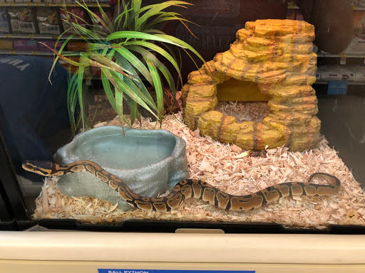 Pet Supply Store «PetSmart», reviews and photos, 650 Commerce Blvd, Scranton, PA 18519, USA