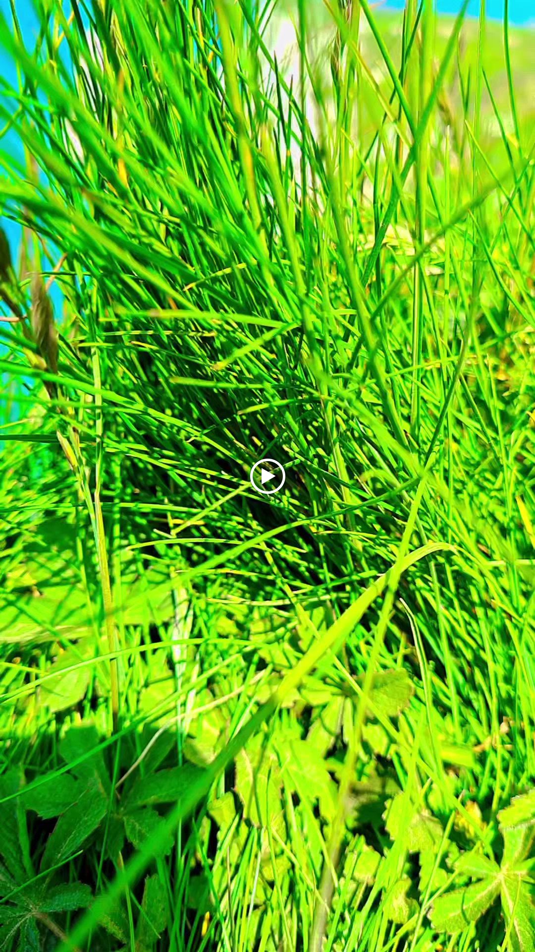 Photo n° 4 de l'avis de pretty.r fait le 01/06/2023 à 11:44
