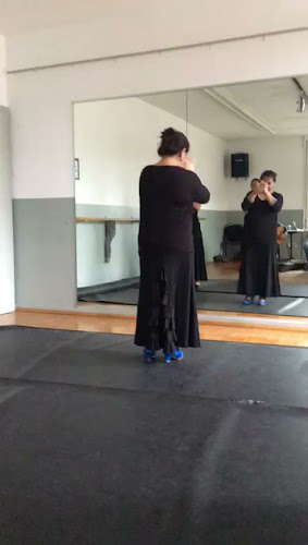 Rezensionen über Flamenco Tanzschule Silvia Chanivet in Aarau - Tanzschule