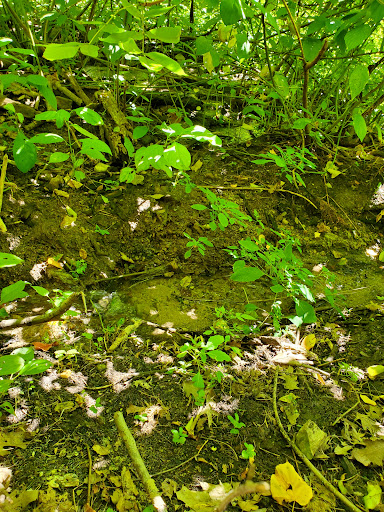 Park «Shadow Falls Park», reviews and photos, 30 N Mississippi River Blvd, St Paul, MN 55104, USA