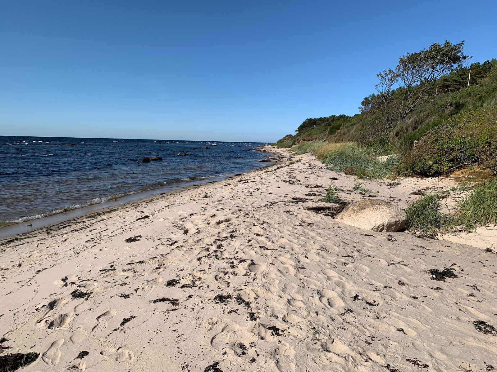 Hasle Strand photo #8