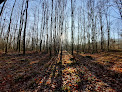 Espace naturel sensible de la forêt de Ranzey Athienville