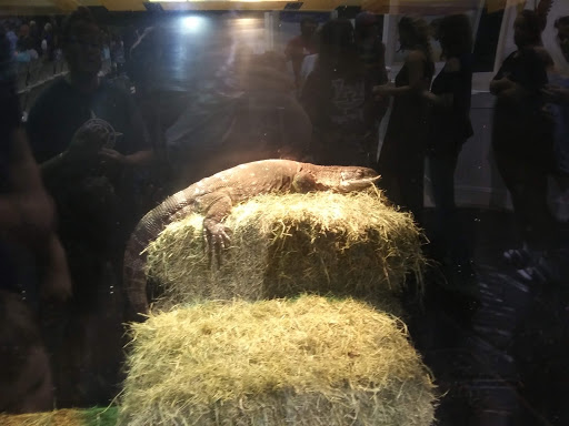 Event Venue «Florence-Lauderdale Coliseum», reviews and photos, 702 Veterans Dr, Florence, AL 35630, USA