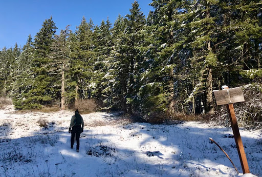 Grassy Knoll Trailhead