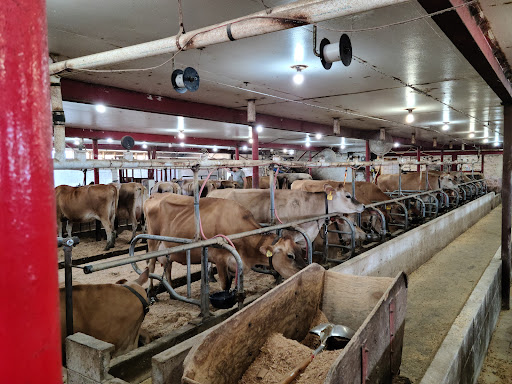 Dairy farm Dayton