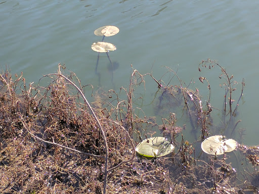 Tourist Attraction «Stonehenge II», reviews and photos, 120 Point Theatre Rd S, Ingram, TX 78025, USA