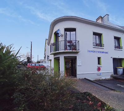 Clinique Vétérinaire des Capucines à Brest