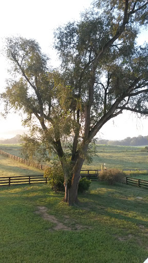 Ranch «The Marriott Ranch Bed and Breakfast», reviews and photos, 5305 Marriott Ln, Hume, VA 22639, USA