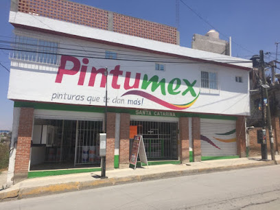 Pintumex Santa Catarina