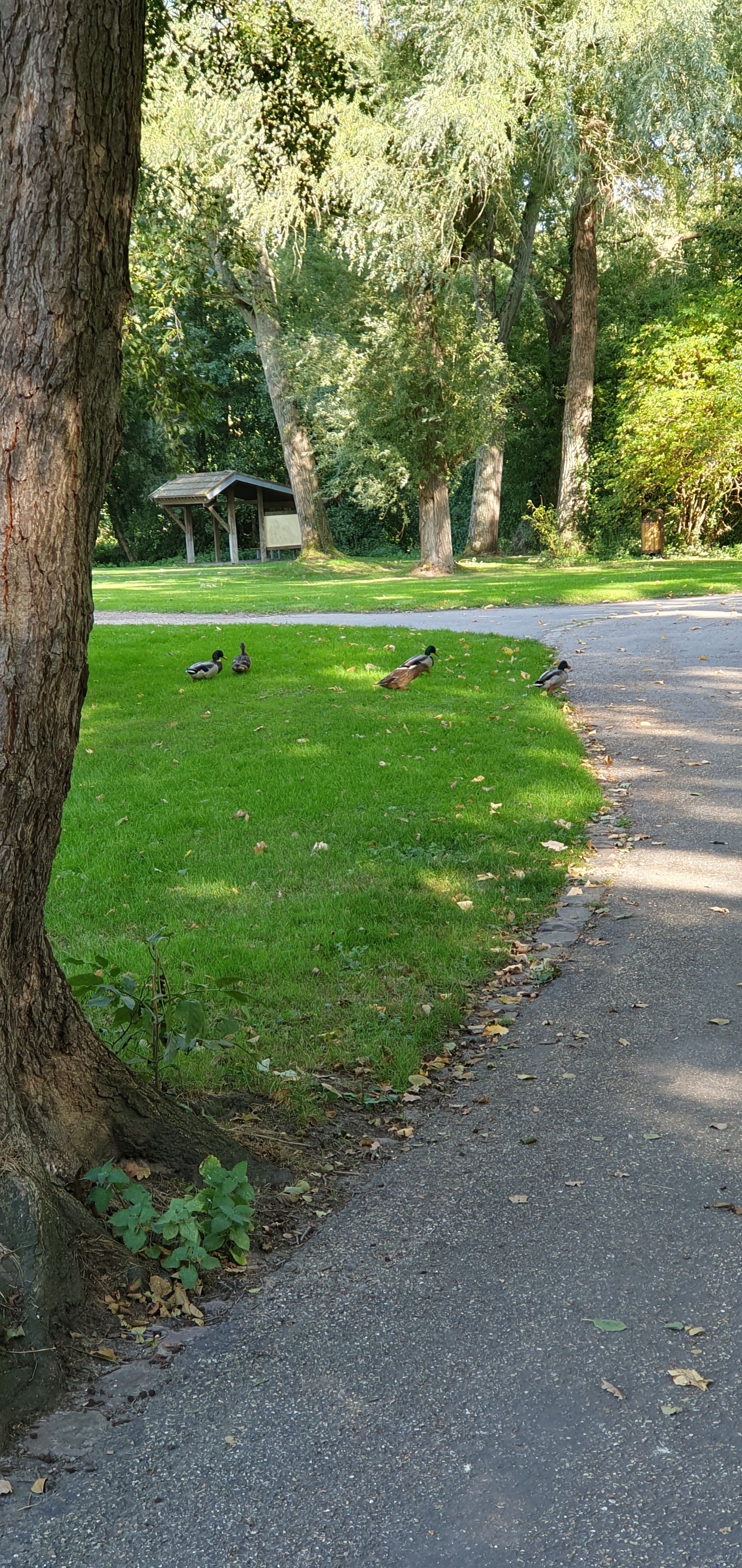 Photo n° 5 de l'avis de Alix-Maëlys.. fait le 04/10/2019 à 07:04