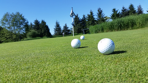 Golf Course «Willows Run Golf Complex», reviews and photos, 10402 Willows Rd, Redmond, WA 98052, USA