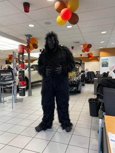 Nissan Dealer «Nissan of New Rochelle», reviews and photos, 2533 Palmer Ave, New Rochelle, NY 10801, USA