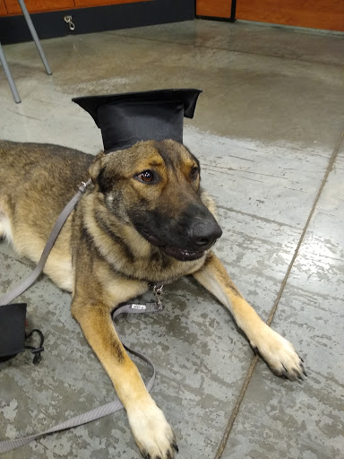 Pet Supply Store «PetSmart», reviews and photos, 1734 Old Fort Pkwy, Murfreesboro, TN 37129, USA