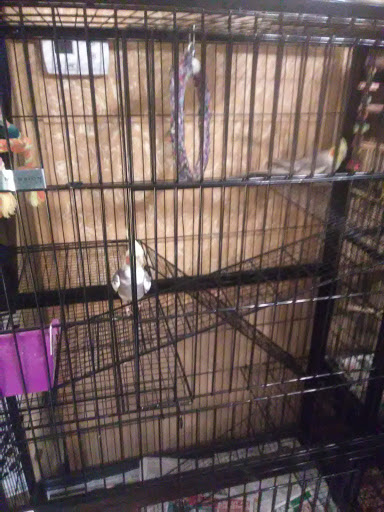 Pet Supply Store «Pet Supplies Plus», reviews and photos, 175 Memorial Ave, West Springfield, MA 01089, USA